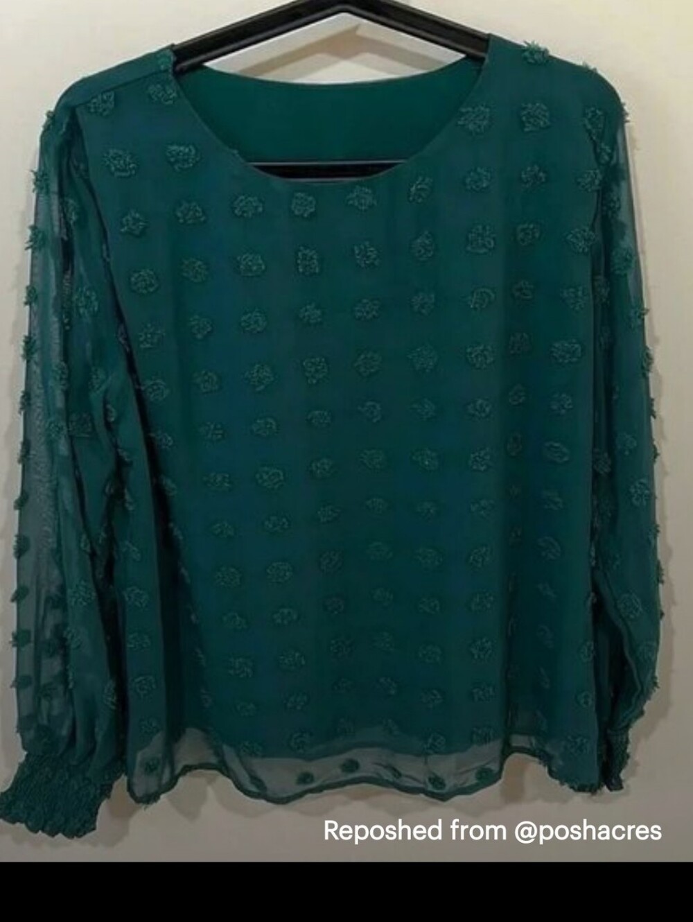 Elegant Forest Green Swiss Dot Long-Sleeve Top - Women